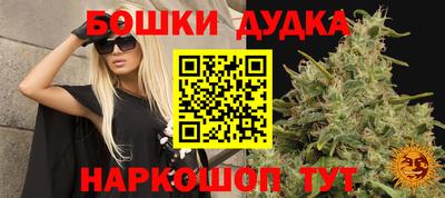 индика Ярцево