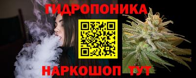 индика Ярцево