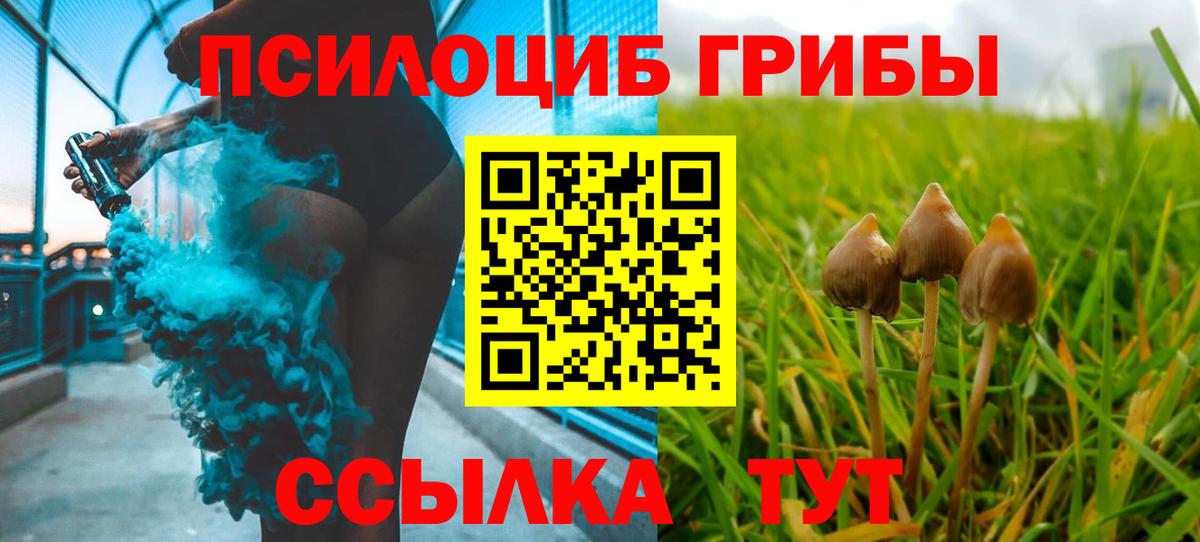 Галлюциногенные грибы мухоморы Киржач