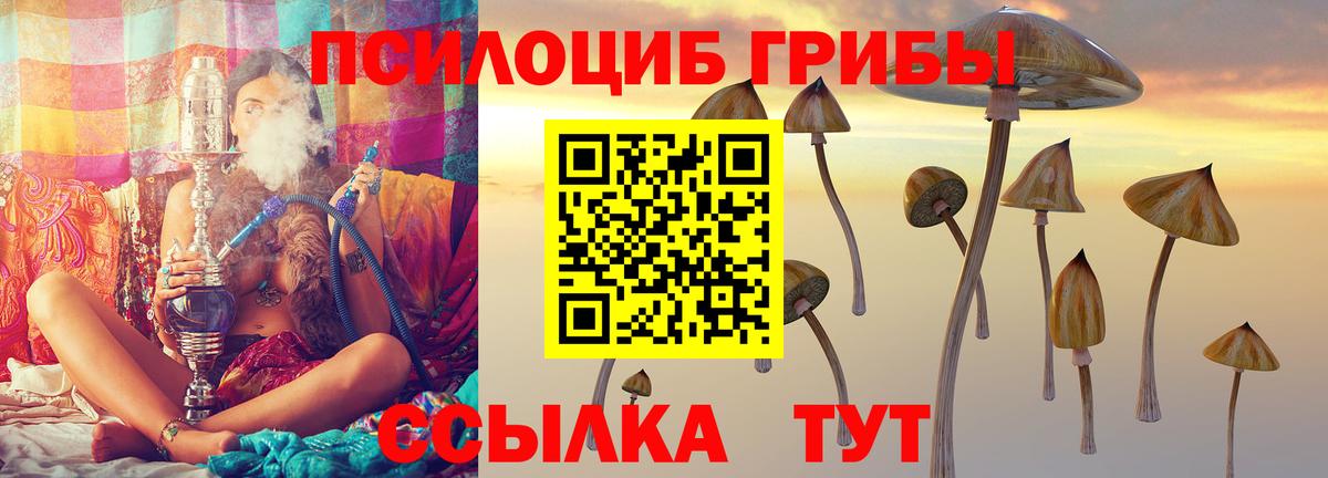 Киржач  Галлюциногенные грибы Psilocybe  Вход с VPN 